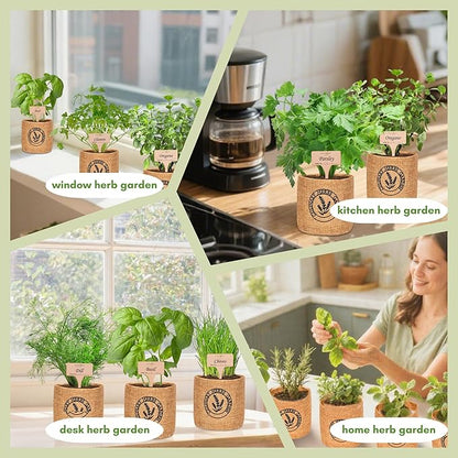 10 Indoor Herb Garden Kit- Burlap Pots, Organic Seeds, Herb Garden Planter Indoor Kit, Easy Window &amp; Kitchen Herbs Growing Kit, Cilantro, Basil, Sage, Oregano, Parsley, Dill, Chives etc.