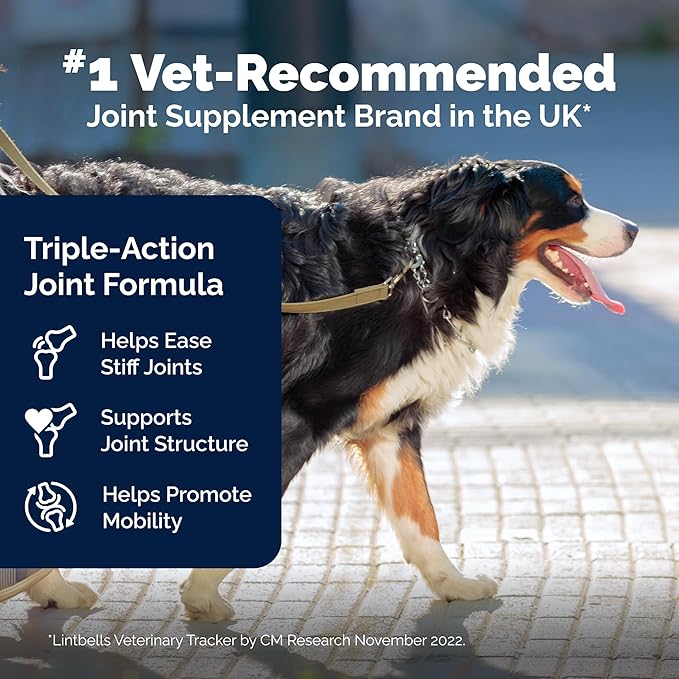 YuMOVE Hip &amp; Joint Supplement for Dogs - with Glucosamine Chondroiton, Green Lipped Mussel, Hyaluronic Acid, and Omega 3 Joint Supplement for Stiffness and Mobility 60 Chews (Large/XL Dogs)