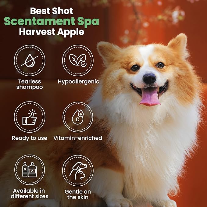 Best Shot Scentament Spa Seasonal Facial &amp; Body Wash, Harvest Apple, 16 oz