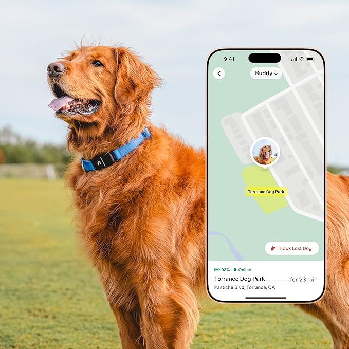 Fi New Series 3+ Smart Dog Tracker Collar – AI GPS for Dogs, Health &amp; Behavior Monitor, Virtual Fence, Escape Alerts, Waterproof, Apple Watch Compatible 12Mo Membership Included