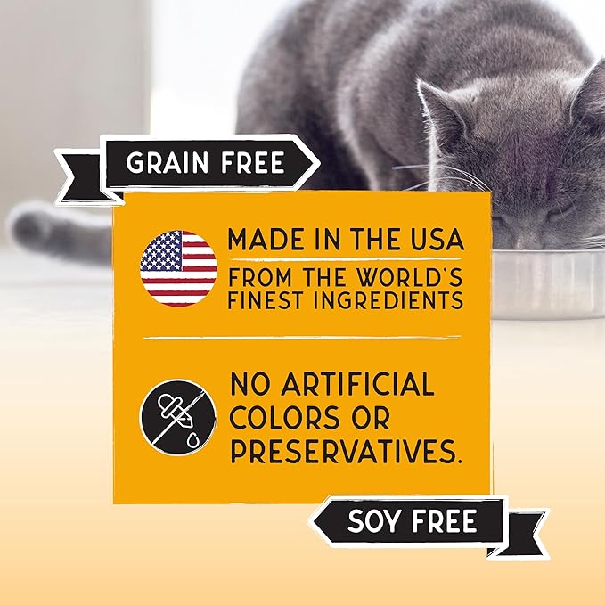 Blackwood Bounty Dry Cat Food, Chicken &amp; Turkey Recipe for All Life Stages, 10 Pound Bag, High Protein, Grain Free