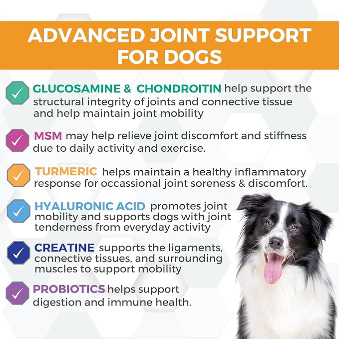 Nootie Progility Hip &amp; Joint Supplement for Dogs, Dog Joint Support with Glucosamine and Chondroitin, 90 Count