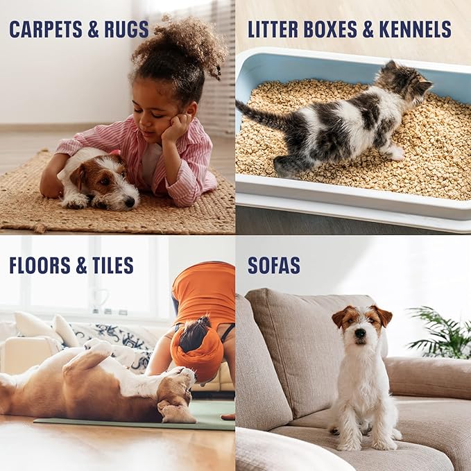 Bioesque Advanced Stain + Odor Remover, Pet-Friendly Natural Enzymatic &amp; Bacterial Formula, Heavy-Duty Stain &amp; Odor Remover, Safe on Carpets, Hard Floors, &amp; More, 32 Fl Oz (Pack of 6)