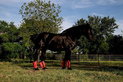 Warrior Fly Boots for Horses - Breathable Mesh Horse Boots for Fly Protection &amp; Leg Comfort - Set of 4 (Knight Warrior, Neon Pink)