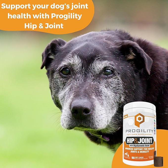 Nootie Progility Hip &amp; Joint Supplement for Dogs, Dog Joint Support with Glucosamine and Chondroitin, 90 Count