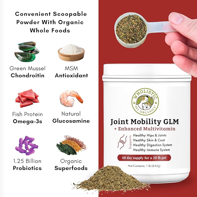 Wholistic Pet Organics Joint Mobility GLM - 1 Lb - Glucosamine for Dogs Chondroitin Supplement Green Lipped Mussels - Joint Supplement for Dogs - Arthritis Pain Reliever for Large &amp; Small Breeds
