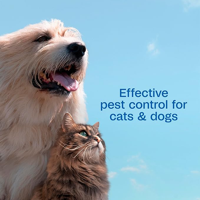 Adams Plus Flea &amp; Tick Shampoo with Precor for Cats, Kittens, Dogs &amp; Puppies Over 12 Weeks Of Age Sensitive Skin Flea Treatment | Kills Adult Fleas, Flea Eggs, Ticks, and Lice| 12 Ounces