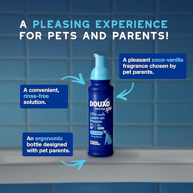 DOUXO® Skin &amp; Coat SPA - Ultra-Safe Quick Refresh Leave-on Mousse for Dogs, 10 fl oz, Safely Cleans and Refreshes, Leaves The Coat Soft, Radiant and Smelling Great, Skin-Friendly Formula