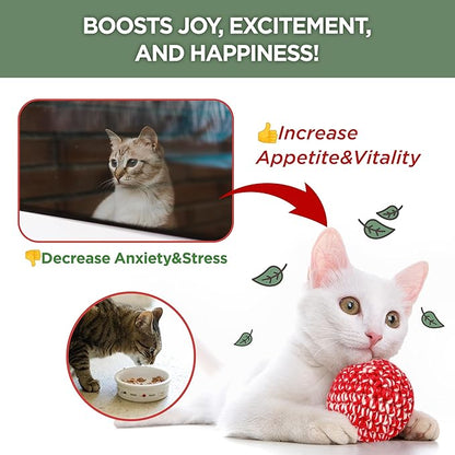 JAYU PET Active Catnip Spray - High Potency Transparent Liquid Spray made of Fresh Organic Catnip for Indoor Cats and Kittens, Relieves Stress, Calming, Revives Toys (1fl oz) (Catnip Spray, 1fl oz)