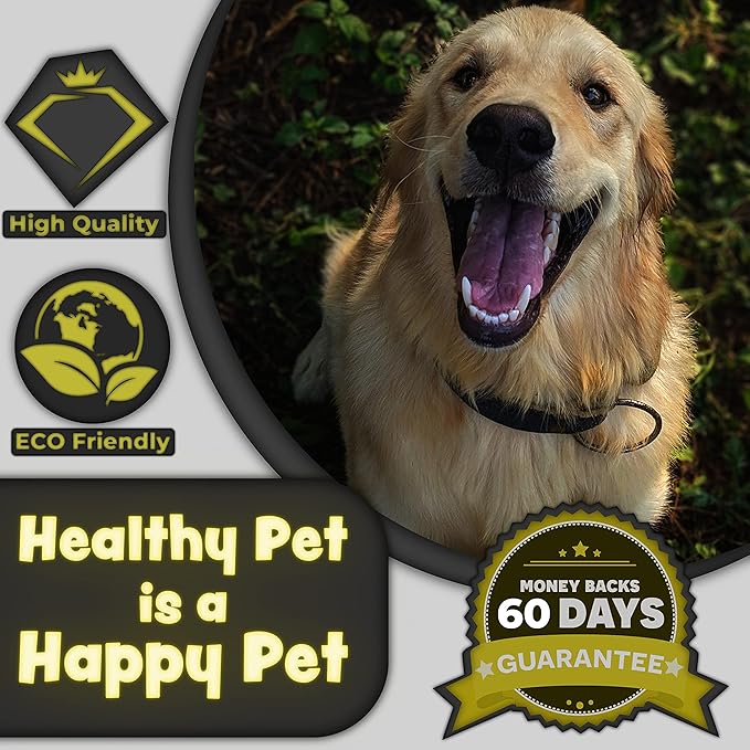 H&amp;H Pets Dog Toothbrushes and Toothpaste Best Professional Cats &amp; Dogs Finger Dental Brush, Dog Brush Set, Perfect for Dogs and Cats, Dog Supplies - Size Small 4 Count 3.5 Oz Toothpaste (100g)