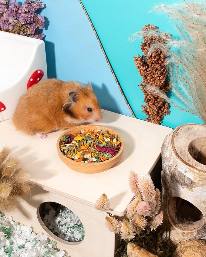 Niteangel Hamster Food &amp; Treats Toy - Small Animal Natural Food for Syrian Golden Hamsters or Other Small-Sized Pets