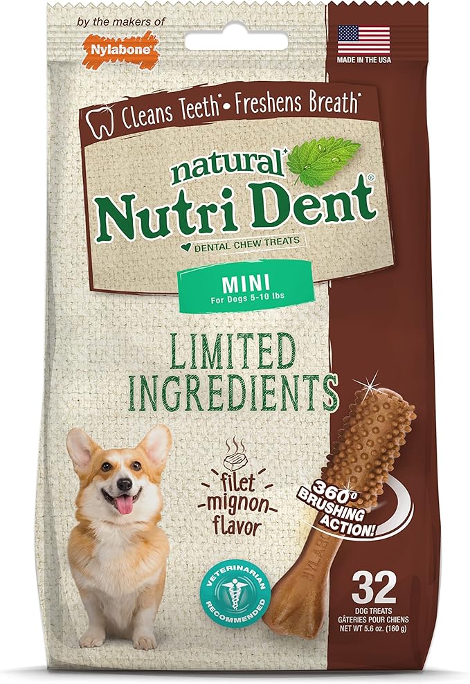 Nylabone Nutri Dent Dog Dental Chews - Natural Dog Teeth Cleaning &amp; Breath Freshener - Dental Treats for Dogs - Filet Mignon Flavor, Mini (32 Count)
