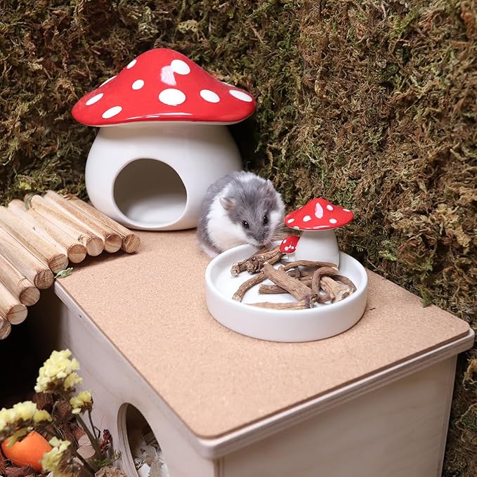 Niteangel Hamster Snack &amp; Treats Toy - Small Animal Natural Treat for Dwarf Syrian Robo Hamsters Gerbils Mice Lemmings Degus or Other Small-Sized Pets