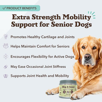 Natural Dog Company Vet Strength Hip &amp; Joint Chews for Senior Dogs (90ct) Joint &amp; Flexibility Support, Arthritis Relief for Senior Dogs, 1.3X Glucosamine, 2X Green Lipped Mussel &amp; MSM for Dog Mobility
