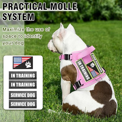 WINSEE Service Dog in Training Harness with 5 PCS Patches, Reflective Tactical Dog Vest Harness, Adjustable Soft Oxford Pet Harness with Easy Control Handle, Hook &amp; Loop Panels for Walking Hiking