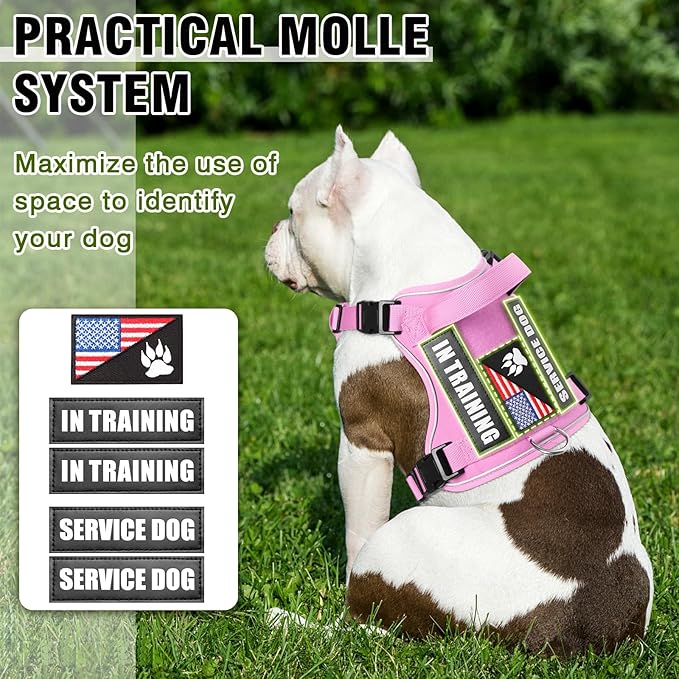 WINSEE Service Dog in Training Harness with 5 PCS Patches, Reflective Tactical Dog Vest Harness, Adjustable Soft Oxford Pet Harness with Easy Control Handle, Hook &amp; Loop Panels for Walking Hiking