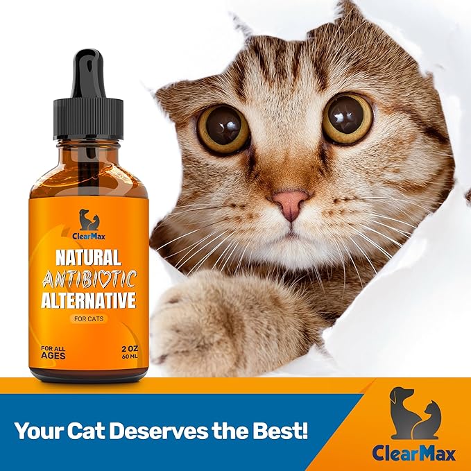 Cat Antibiotic to Help with Cough &amp; Allergies – Antibiotics for Cats to Aid with UTIs and Digestive Moments – HIPS &amp; Joints Support – Attractive Chicken Taste – 2 Oz Bottle