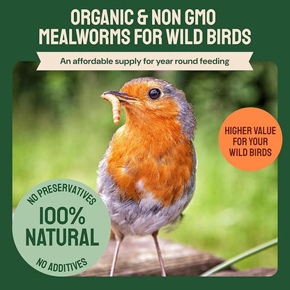 Dried Mealworms - 2 Lb Bag - High Protein Chicken Feed, Mealworms for Birds &amp; Chickens - Meal Worms for Wild Birds &amp; Turtles