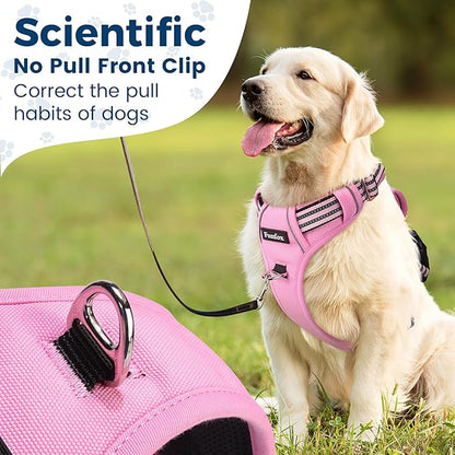 Funfox Dog Harness No Pull, Adjustable Pet Vest Harness, Super Soft Material with Vertical Handle Easy Control, Reflective Night Walking, 2 Leash Clips for Small Sized Dogs, Pink, S