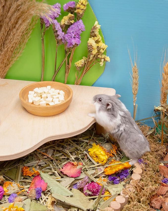 Niteangel Hamster Snack &amp; Treats Toy - Small Animal Natural Treat for Dwarf Syrian Robo Hamsters Gerbils Mice Lemmings Degus or Other Small-Sized Pets