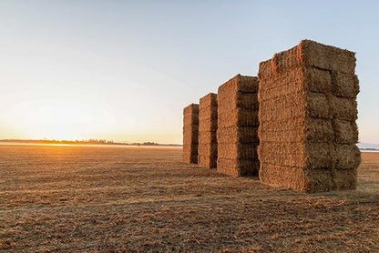 Blue Mountain Hay High-Altitude Hay - Organic Alfalfa, 25lb - High Protein, Fiber &amp; Mineral-Rich - Soft, Leafy, High Leaf Retention - Ideal for Goats, Rabbits, Guinea Pigs &amp; Other Small Animals