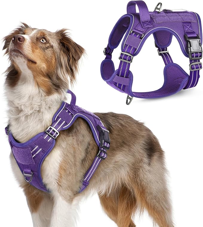 rabbitgoo Tactical Dog Harness Medium Sized Dog, No Pull Military Service Vest with Handle &amp; Molle, Easy Control for Training Walking, Adjustable Reflective Straps, Purple, M