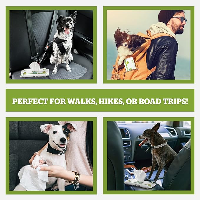 Pogi’s Dog Wipes Travel Packs – Hypoallergenic Pet Wipes for Paws, Body &amp; Butt – Cleaning &amp; Hydrating, Green Tea Scent, 240-Count