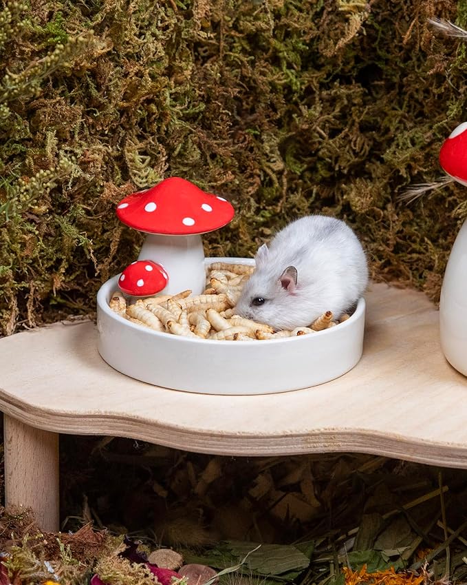 Niteangel Small Animal Snack &amp; Treats - Small Critter Natural Treat for Dwarf Syrian Hamsters Gerbils Mice Sugar Glider Hedgehogs Chickens Birds (Freeze-Dried Worms- 0.9oz (25g))