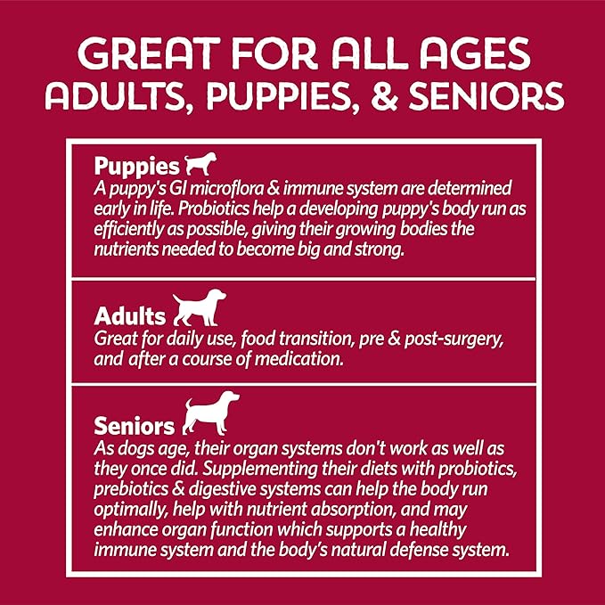 Fidobiotics Good Guts for Big Mutts Probiotic for Dogs, 12 Billion CFUs, 11 Strains, 5 Digestive Enzymes, 2 Prebiotics, Digestive Gut Health for Dogs, Adult &amp; Puppy Probiotics Supplements (20 Days)
