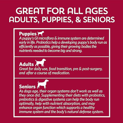 Fidobiotics Good Guts for Big Mutts Probiotic for Dogs, 12 Billion CFUs, 11 Strains, 5 Digestive Enzymes, 2 Prebiotics, Digestive Gut Health for Dogs, Adult &amp; Puppy Probiotics Supplements (20 Days)
