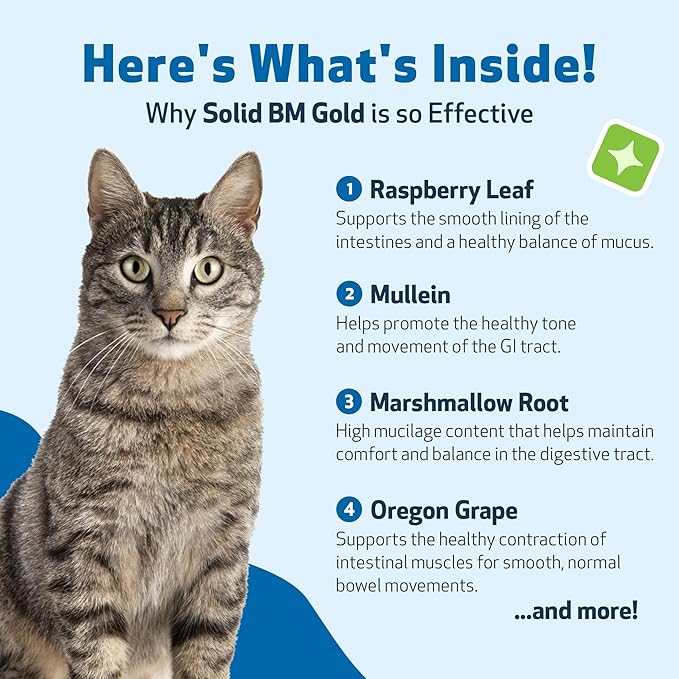 Pet Wellbeing BM Tone-Up Gold for Dogs &amp; Cats - Supports Healthy Digestive Function, Solid Stools, Normal Bowel Movements, Bayberry - Veterinarian-Formulated Herbal Supplement 4 oz (118 ml)