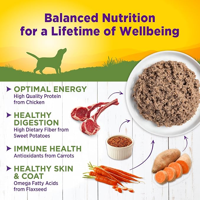 Wellness Complete Health Natural Wet Canned Dog Food, Lamb &amp; Sweet Potato, 12.5-Ounce Can (Pack of 12)