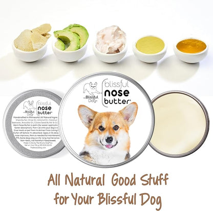 The Blissful Dog Corgi Unscented Nose Butter, 1-Ounce