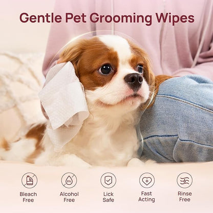 HICC PET Wipes for Dogs and Cats, Vet-Recommended Pets Cleaning Wipes, Deodorizing Hydrating, Nourishes Smoothes Fur, Fermented Coconut Oil Grooming Paws, Body and Butt, Thicken, Rose, 100 Count