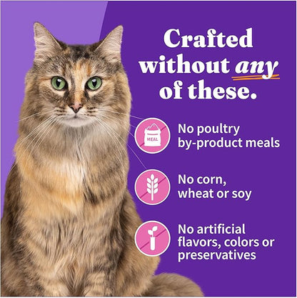 Halo Pets Spot&