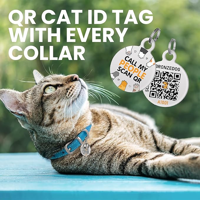 BRONZEDOG Leather Cat Collar with Removable Bells Non Breakaway Kitten QR Tag for Girl Boy (7" - 9" for Cats, Blue &amp; Silver)