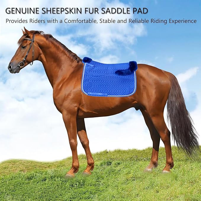 Woolous Dressage Saddle Pad, English Saddle Pad with Sheepskin Trim, Lambskin Wool Fleece Lining, Square Saddle Pad for Equestrian Riding, Comfortable &amp; Shock Absorbing