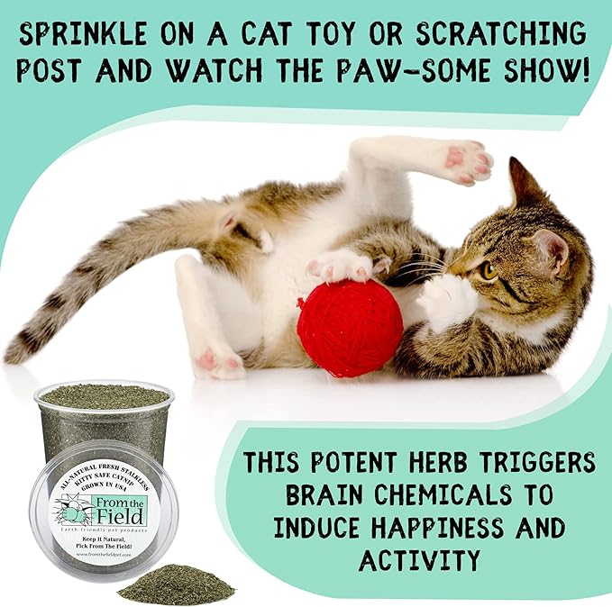 from The Field | Fine Ground Stalkless Catnip | Premium USA-Grown Catnip for Toys &amp; Playtime | Fresh, Potent, Non-Toxic, Eco-Friendly | Safe for Kittens &amp; Cats | Resealable 1 oz Can