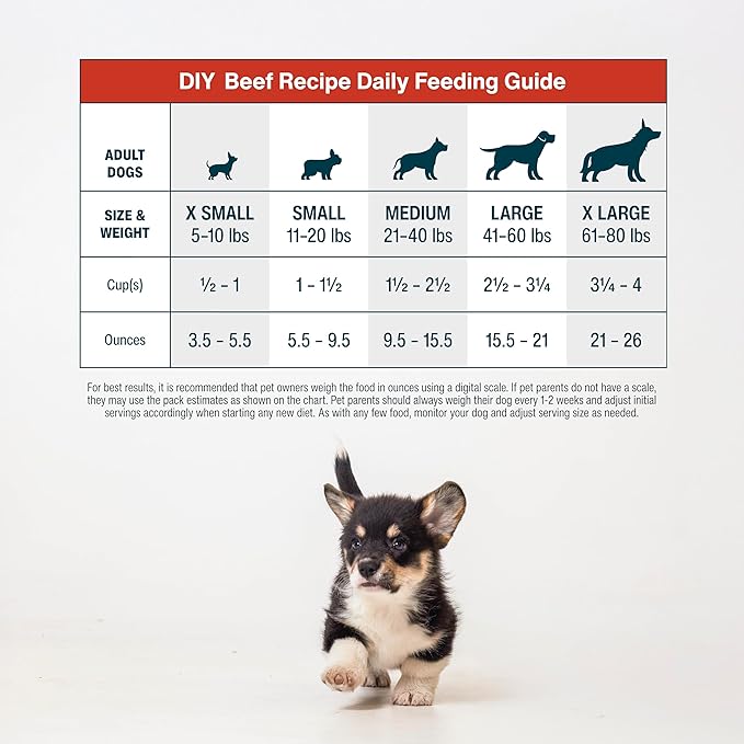 JustFoodForDogs DIY Nutrient Blend for Homemade Dog Food, Beef &amp; Russet Potato, 4.55oz