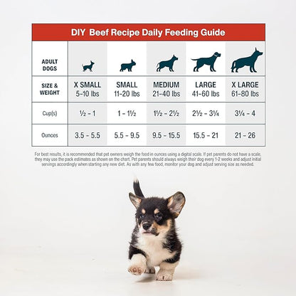 JustFoodForDogs DIY Nutrient Blend for Homemade Dog Food, Beef &amp; Russet Potato, 4.55oz
