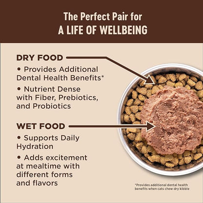 Wellness CORE+ Adult Dry Cat Food for Indoor and Outdoor Cats, Wholesome Grains, Natural, Digestive Health Chicken &amp; Rice (5 Pound Bag)