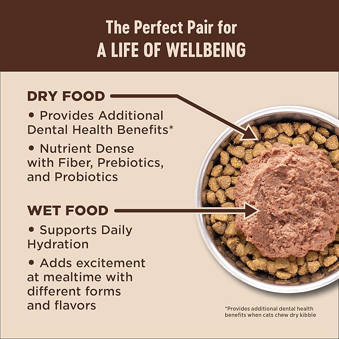 Wellness CORE+ Indoor Pate Adult Wet Cat Food, Natural, Protein-Rich, Grain Free, 5.5 Ounce, 24 Pack (Chicken &amp; Chicken Liver)