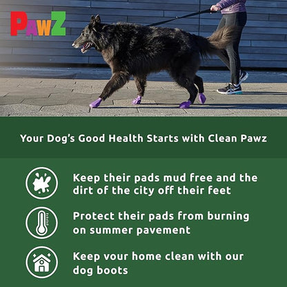 Protex PawZ Rubber Dog Boots for Paws 4" and Up, 24 Total (2 Packs of 12) - All-Weather, Anti-Slip, Waterproof Dog Socks - X-Large, Green