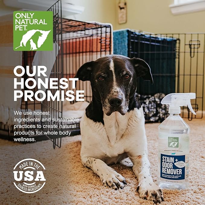 Only Natural Pet Enzyme Powered Stain &amp; Odor Eliminator - Professional Pet Urine Pee Cleaner Deodorizer For Dogs - Hardwood Floors Carpets Upholstery - Fresh Mandarin Orange &amp; Green Tea Scent - 32Floz