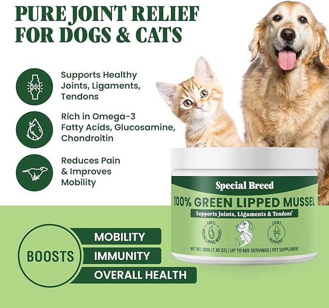 Special Breed Green Lipped Mussel Powder for Dogs &amp; Cats - 100% New Zealand Green Lipped Mussels - Natural Hip &amp; Joint Supplement for Joints, Tendons, Ligaments, Muscles - 200 Grams - 665 Servings