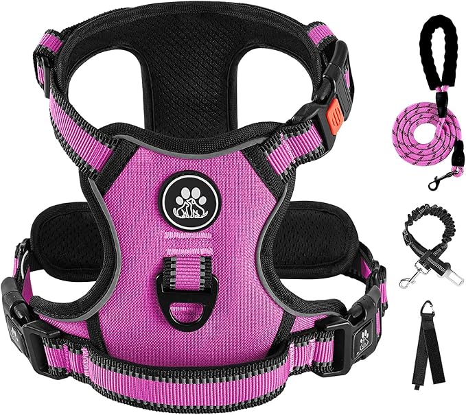 IVY&amp;LANE No Pull Dog Harness for Small Dogs, Dog Vest Harness with Leash, Safety Belt and Storage Strap, Fully Adjustable Harness, 360° Reflective Strip, Soft Handle (Fuchsia Pink,S)