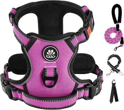 IVY&amp;LANE No Pull Dog Harness for Small Dogs, Dog Vest Harness with Leash, Safety Belt and Storage Strap, Fully Adjustable Harness, 360° Reflective Strip, Soft Handle (Fuchsia Pink,S)