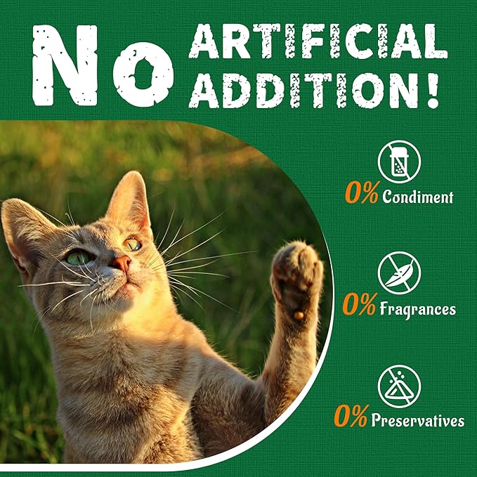 Just Try 13.4 0Z Cat Grass Treats Salmon Oil Natural Salmon Kitten Healthy Cat Treats Training Biscuits Snacks Fish Oil Omega 3 Supplements for Cats Joint Support &amp; Skin Coat Health