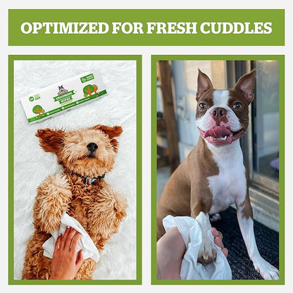 Pogi’s Dog Grooming Wipes – Hypoallergenic Pet Wipes for Paws, Body &amp; Butt – Cleaning &amp; Hydrating, Fragrance Free, 400-Count