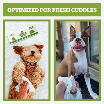Pogi’s Dog Wipes Travel Packs – Hypoallergenic Pet Wipes for Paws, Body &amp; Butt – Cleaning &amp; Hydrating, Green Tea Scent, 120-Count
